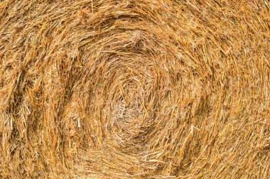 doku biçilmis saman