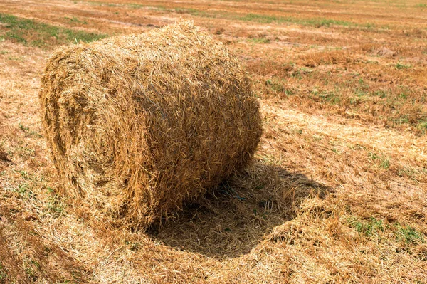 Um palheiro no campo após a colheita — Fotografia de Stock