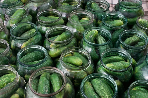 Fresh cucumbers in cans for canning — Stock Photo, Image