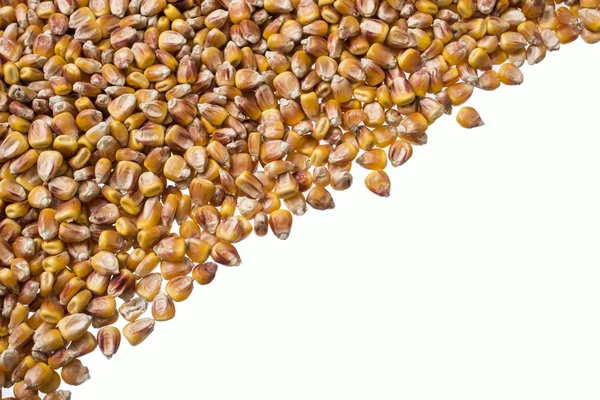 Cercanía de grano de maíz — Foto de Stock