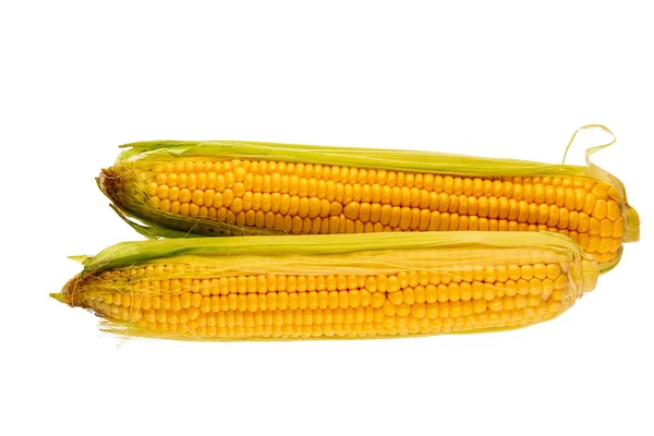 Dos trozos de maíz —  Fotos de Stock