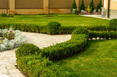 çim mowed çalılar yakınındaki taş kaldırım ile