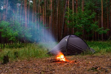 Bir çam ormanı akşam çadırda
