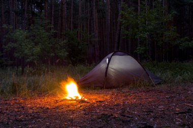 Bir çam ormanı akşam çadırda