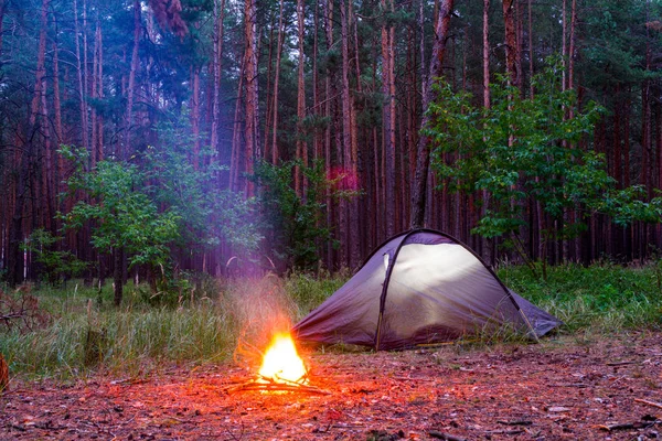 Костер возле палатки в сосновом лесу — стоковое фото