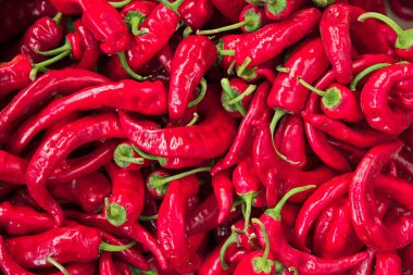 kırmızı kırmızı kırmızı biber