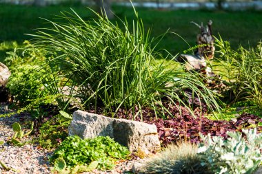 taşlar ve dekoratif peyzaj tasarımı çalıların