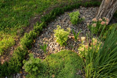 taşlar ve dekoratif peyzaj tasarımı çalıların