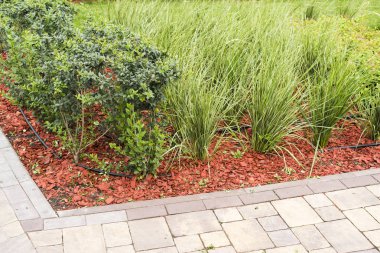 Peyzaj tasarımı dekoratif kabuğu tozu