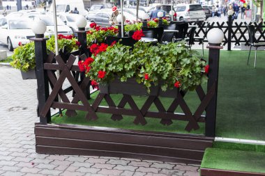 çiçek ve Bitki saksıları içinde ve küvetler tasarım