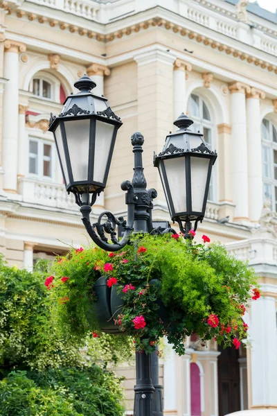 Oświetlenie uliczne na kwiaty — Zdjęcie stockowe