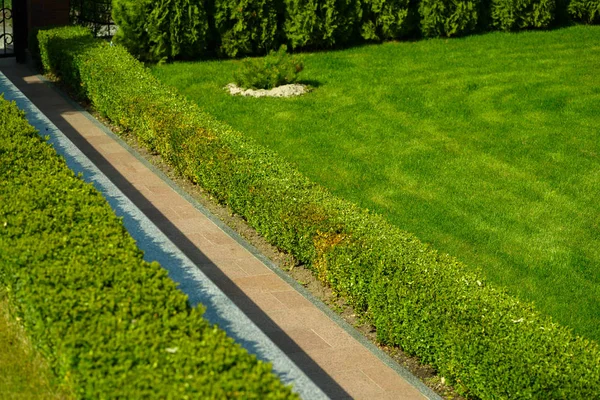 Bushes in landscape design — Stock Photo, Image