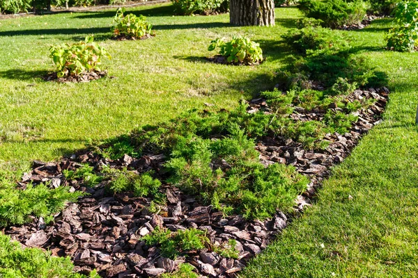 Poudre d'écorce décorative dans la conception de paysage — Photo