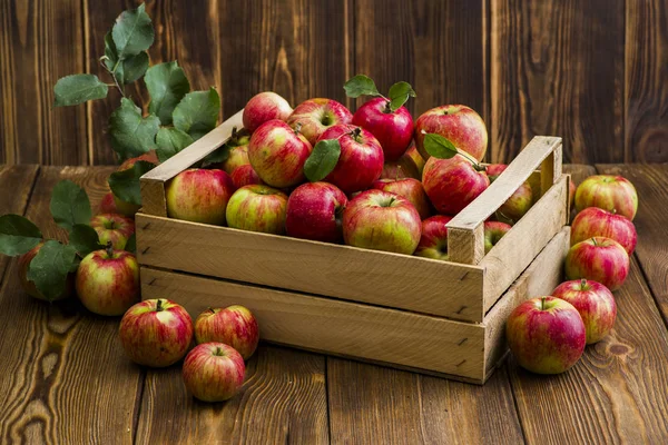 ahşap bir masa üzerinde kırmızı taze elma