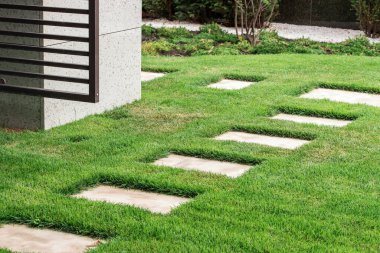 Bahçedeki taş patika.