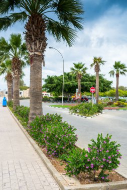 yol ve kaldırımlar palmiye ağaçları ve çalılarla bölünmüş, Kıbrıs adasında, Paphos 'ta manzara tasarımı