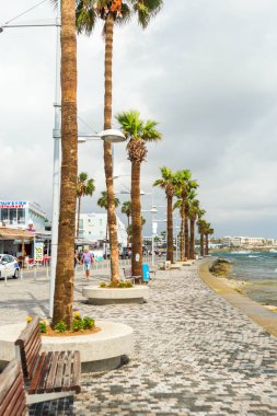 Sahilde palmiye ağaçları