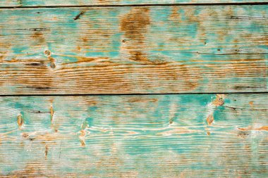 Kabuğu soyulmuş eski tahta