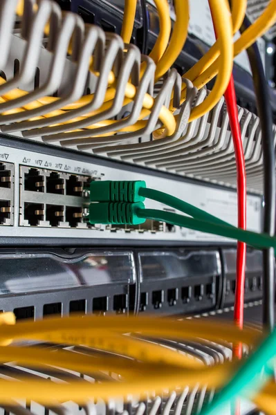 Fils Ethernet Vers Serveur Pour Transfert Métadonnées Connexion Réseau — Photo