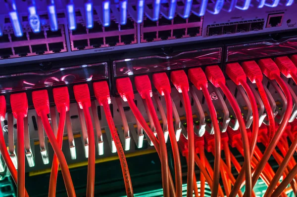Cables Ethernet Servidor Para Transferencia Metadatos Conexión Red — Foto de Stock