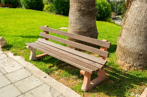 Geschäft Sommerrasen Der Nähe Einer Palme — Stockfoto