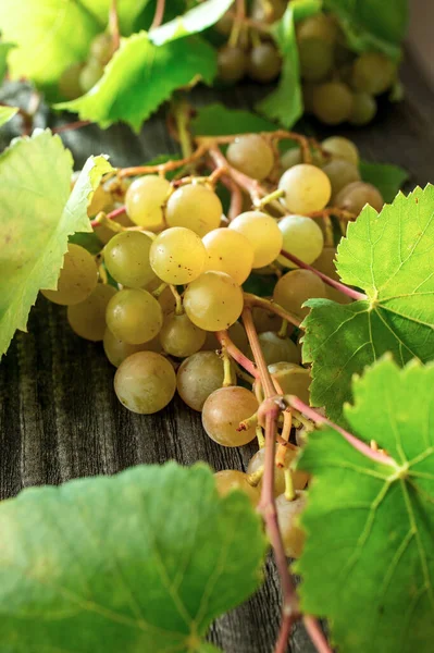 Uvas Frescas Caseras Primer Plano Sobre Mesa —  Fotos de Stock