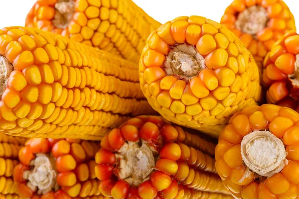 Сушеная Кукуруза Початке Крупным Планом — стоковое фото