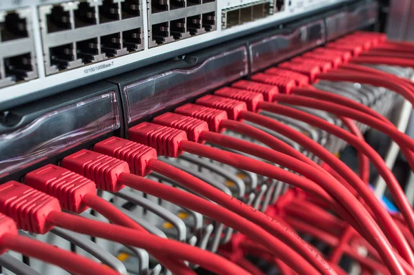 Transferencia Datos Del Servidor Cable Multifilamentario Rojo — Foto de Stock