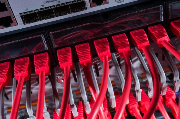 Cable Rojo Módem Internet — Foto de Stock