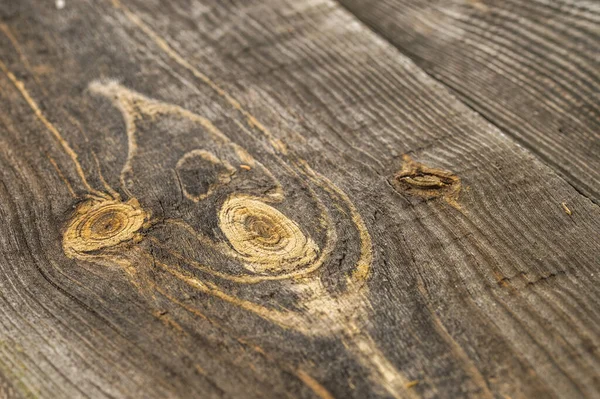 Äste Auf Einer Oberfläche Aus Holzbrettern — Stockfoto