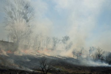 Yangından sonra kalıntılarla birlikte kara kutu.
