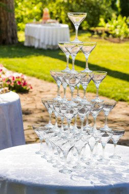 Şampanya kadehleri.