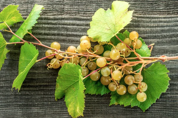 Takken Van Druiven Een Houten Tafel — Stockfoto