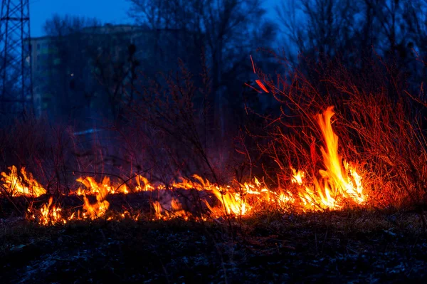 Oheň Lese Poblíž Domů — Stock fotografie