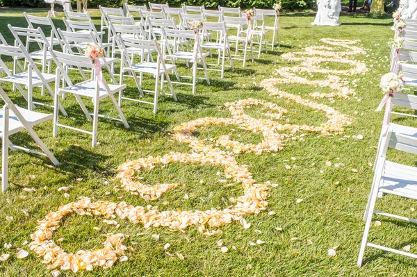 Path Rose Petals Path Rose Petals Decorations Newlyweds — Stock Photo, Image