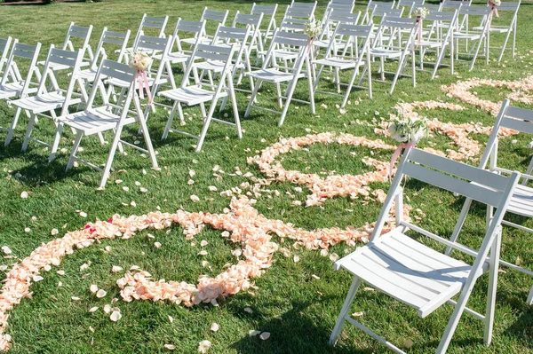 Path Rose Petals Decorations Newlyweds — Stock Photo, Image