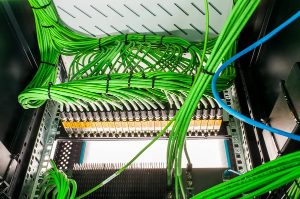 Cables Conectados Servidor Red —  Fotos de Stock