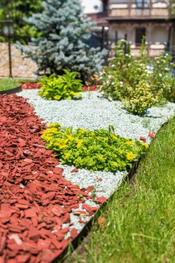 Manzara tasarımında meşe kabuğu olan bir çiçek tarlası.