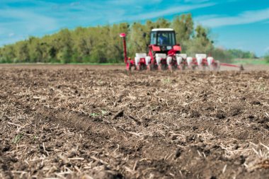 Ön planda toprağın zirvesi olan tarlada ekiliyorlar.