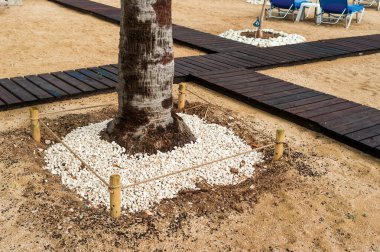 Manzara tasarımında ahşap yolların yakınındaki bir ağacın etrafında çakıl taşları