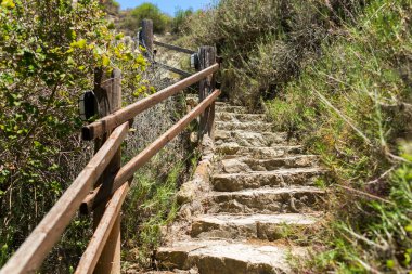 Taş basamaklar ve otlarla çevrili ahşap korkuluklar.