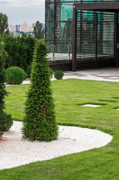 Design Verde Nel Parco Cittadino — Foto Stock