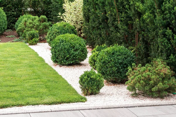 Bushes Plants Landscape Design — Stock Photo, Image