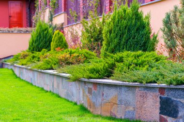 Çiçek tarlası arazi tasarımı Geometrik budanmış çalılar
