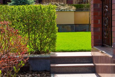 Peyzaj tasarımındaki budanmış çalı yolu