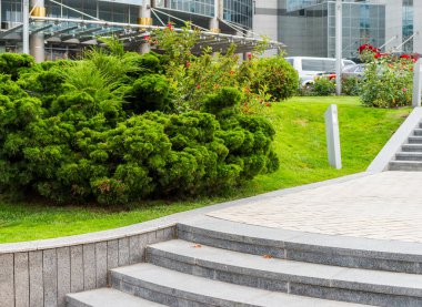 Peyzaj tasarımındaki çalılar