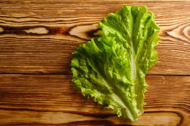 Masada taze marul yaprakları, üst manzara.