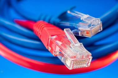 İnternet ağları için renkli bağlayıcılar, kablolu veri aktarım bağlantısı, yakın çekim