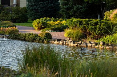 Peyzaj tasarımında yol boyunca çimler ve çalılar