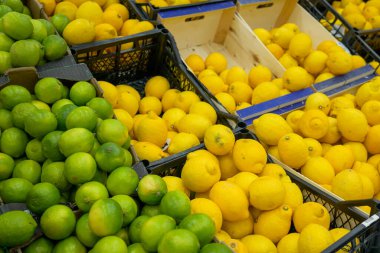 Süpermarketteki raflarda turunçgiller için sarı ve yeşil limonlar var.